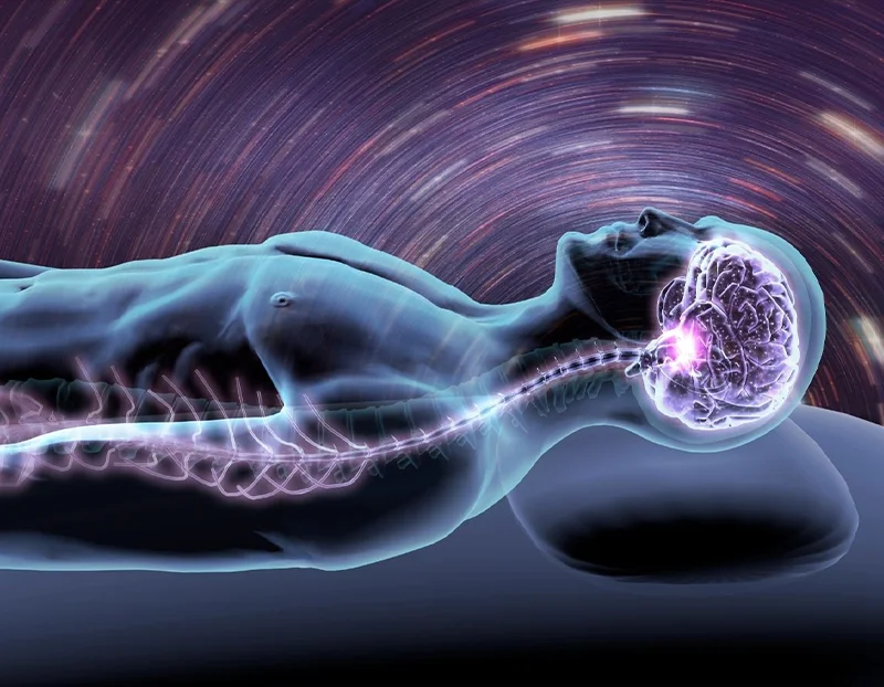 تأثیر جادویی خواب بر مغز و حافظه